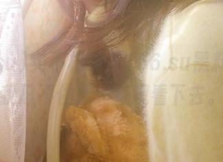 实不相瞒，166.su黑料入口让我忍不住想一直观看下去。