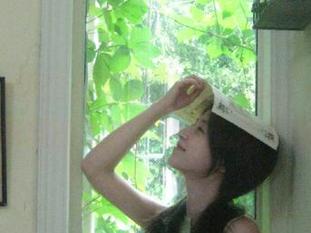 心情波动与美味瓜，一趟51爆料网的线路，收获无限乐趣！