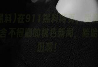 在911黑料网页，我竟然看到了那个舍不得删的桃色新闻，哈哈，好怀旧啊！