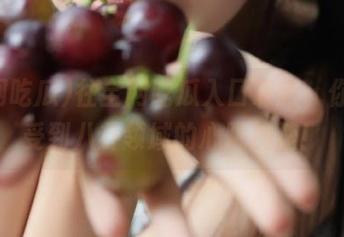 往全网吃瓜入口靠近，你会感受到八卦领域的心跳加速！