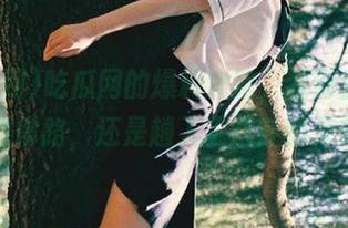 吃瓜网的爆料线路，我到底是在走寻常路，还是趟入了八卦的深渊？