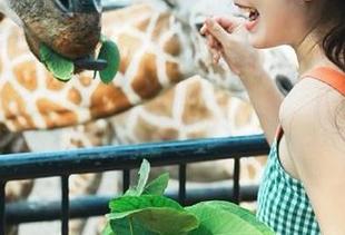 网曝黑料：这一波好戏看得我无言以对，传送门真的是让人忍俊不禁